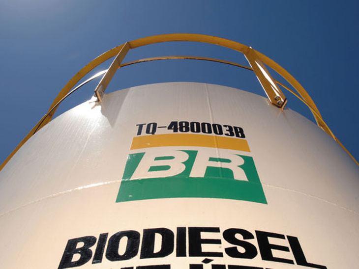 Biocombustíveis no Brasil superam OCDE em cinco vezes
