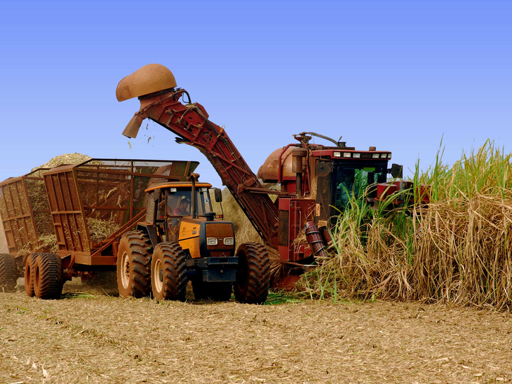 Na primeira quinzena de março moagem de cana-de-açúcar atinge quase 3 milhões de toneladas